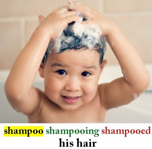 Shampoo